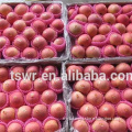 /msite/products/detail/productid/59941731/id/542998.html